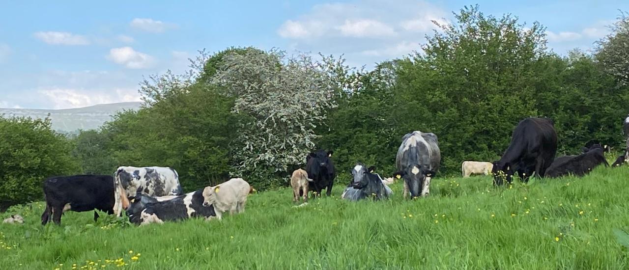 Llangynidr Pant Llwyd Farm 빌라 외부 사진